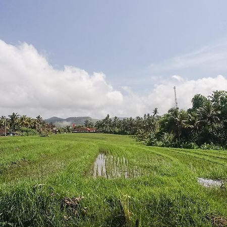 Mejan Home Stay Balian Dış mekan fotoğraf