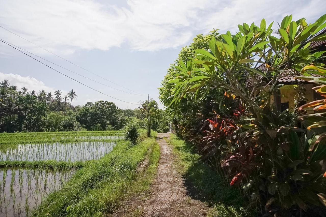 Mejan Home Stay Balian Dış mekan fotoğraf