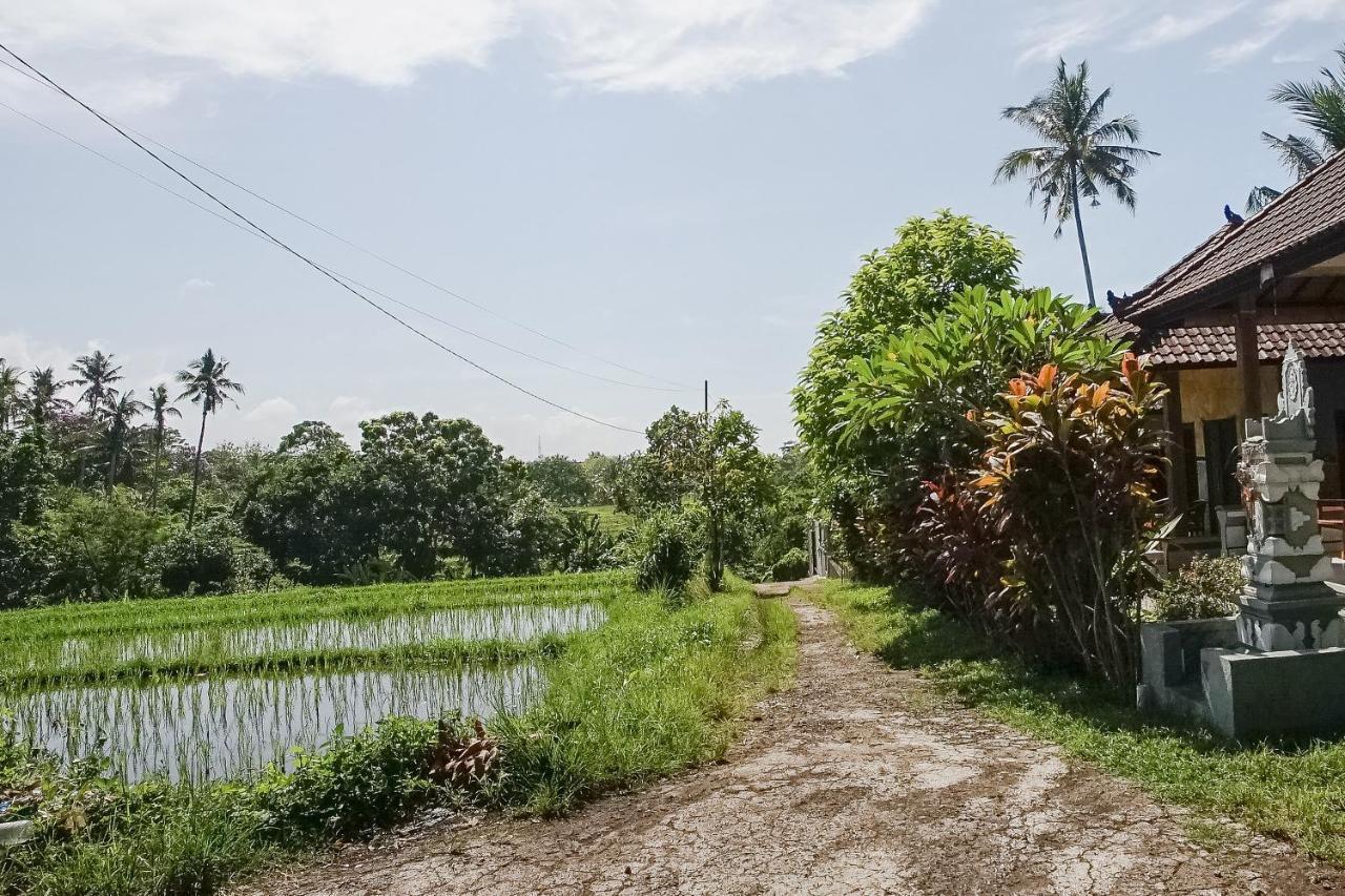 Mejan Home Stay Balian Dış mekan fotoğraf